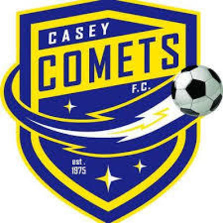 Casey comets photo